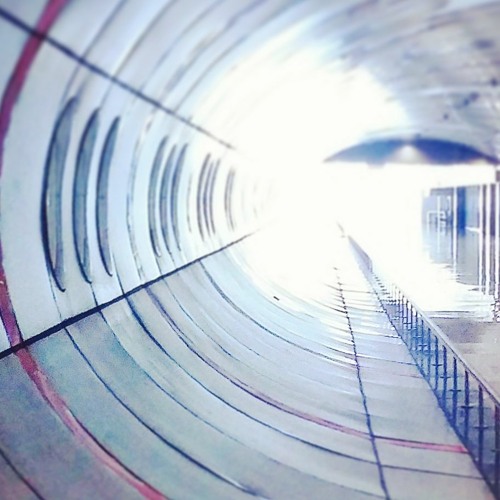 Sending Postcards from the sun