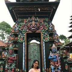 Ni Wayan Devi Meidiyana
