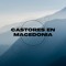 Castores En Macedonia