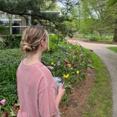 ༺ ᑕᕼᗩᕼIᑎEᘔ ༻