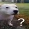 GGphát