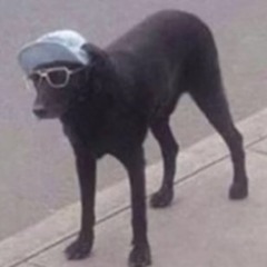 utrrbcsegjgdfggergvftggfsdf