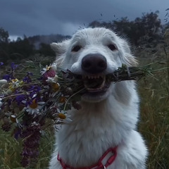nastylittle