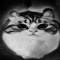 Mihail_dmitrovich