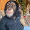 🐒