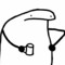 Rock_Bison