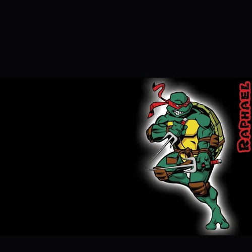 teenage mutant ninja turtles fan’s avatar