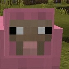 xb