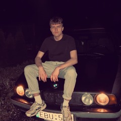 vilius6