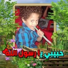 Mahmoud Abd Alkreem