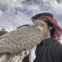 زايدعادل