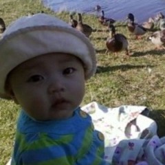 everly