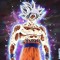 songoku1234
