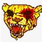 Jaystar20020