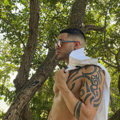 el chino
