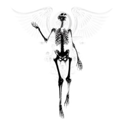 skellyruno†