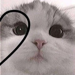 ꜱɪᴅ💞