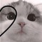 ꜱɪᴅ💞
