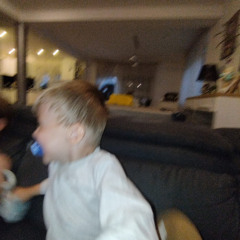 cazzo