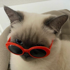 ʚ̴̶̷̆ ̯ʚ̴̶̷̆