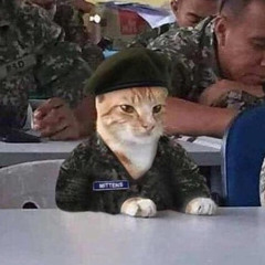 МЯТНО