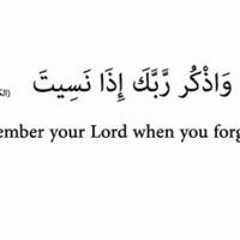 Samar El Seyd Elgammal