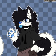Koizit0