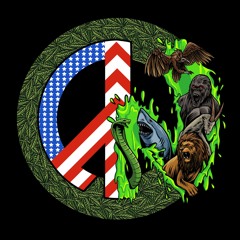 CAN Mob$tar (C.@.NEnt)