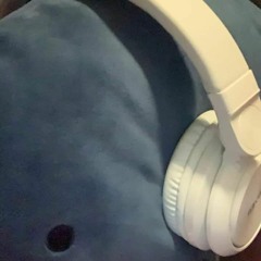 seventeen🎧🎙🎧