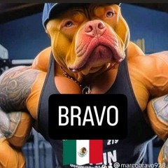 Marco Bravo