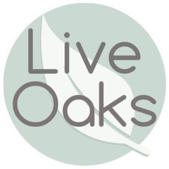 Live Oaks Worship (8-20-23)