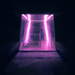 🦉Bane 🌕MarSolar