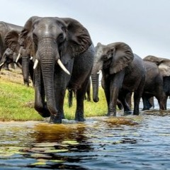 Young Verse 918 -  105.3 KJAMZ Chop Shop Intro (2014)