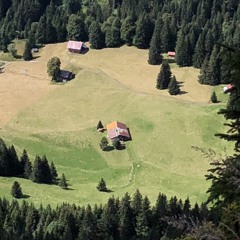 sylvi_i