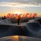 Optei FLP