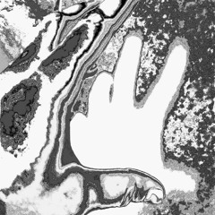 VOLK