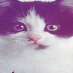 ¿