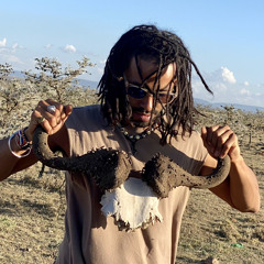 bakungi