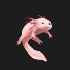 Audio Axolotl