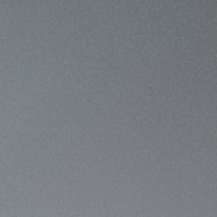 Nataleigh Van Heusen