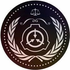 05-1 COUNCIL X (REDACTED) GHOST  (FOUNDER)