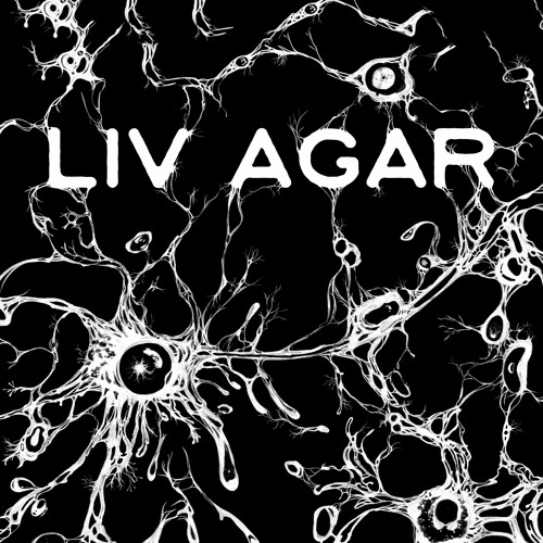Liv Agar’s avatar