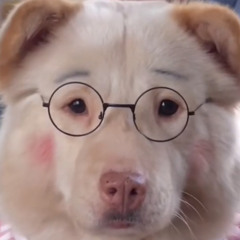 크크루삥뽕뿡뺑