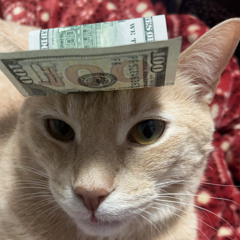 KoKoBoy