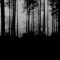 DEAD BEATS