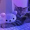 lostkitty (covers)
