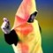IMMMA BANANANA!
