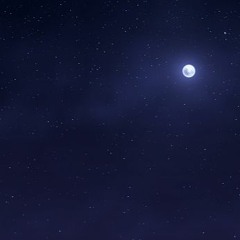 druid