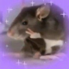 ıllıllı rat ıllıllı