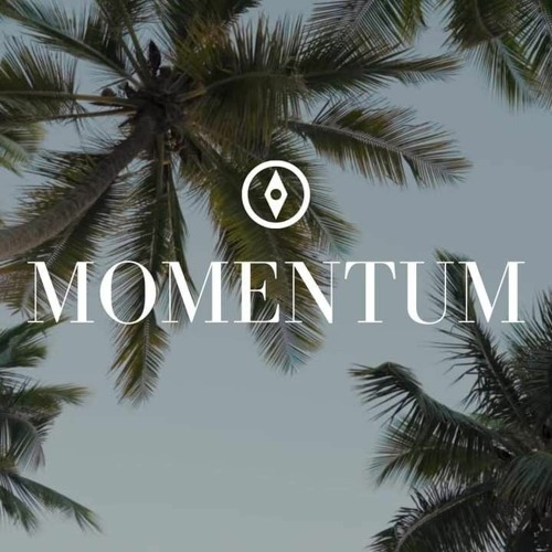 Momentum Agency’s avatar
